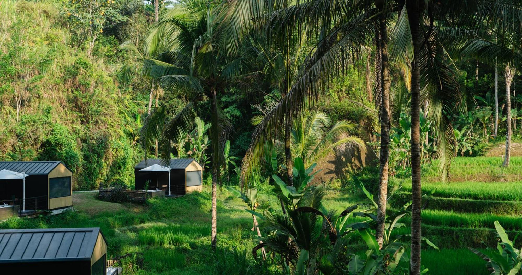 Bobocabin Ubud, Bali Exterior photo